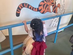 -小熊维尼历险之旅