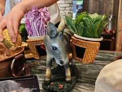 -慢丽江·云南野生菌土鸡锅(付家庄店)