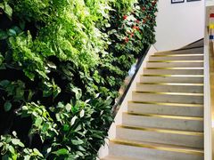 -Peet's Coffee皮爷咖啡(大学路店)