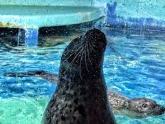 -太平洋海底世界