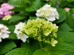 -新天地活力PARK