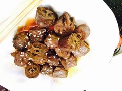 环洲歌剧院-环洲歌剧院