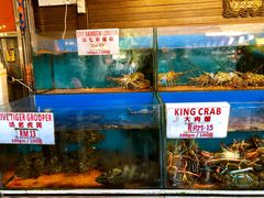 -真浪花园海鲜餐馆