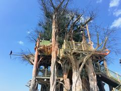 -云漫湖生态度假公园