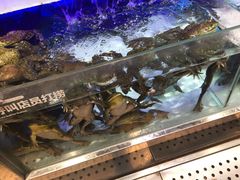 -盒马鲜生(枣园路店)