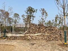 -永定河休闲森林公园