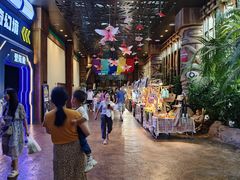 -杭州开元森泊度假乐园