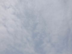 -好嫂子酱猪手•农家菜(华远坊店)