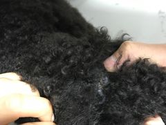 -百好乐宠物友好餐厅(朝外大街店)