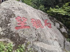 -王顺山国家森林公园