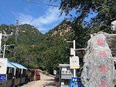 -大岭沟猕猴桃谷风景区