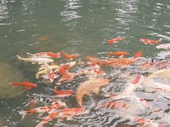 -中国茶叶博物馆(双峰馆区)