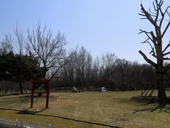 -塘沽森林公园