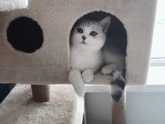 -宠颐生动物医院·心脏科·保险定点(锦阳分院)