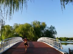 -大兴滨河森林公园