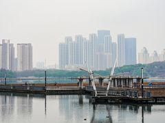 -月湖风景区
