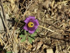 -北京鹫峰国家森林公园