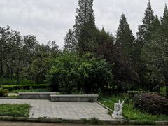-云岗森林公园