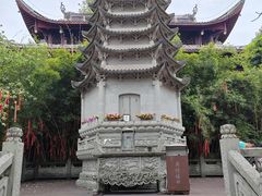 -南山植物园