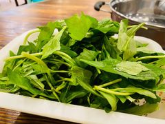 -正能量脆肉鲩火锅