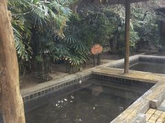 -龙达温泉生态城