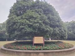 -灵谷景区