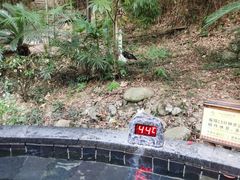 -明月山天沐温泉度假村