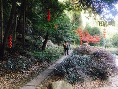 -杭州西湖风景名胜区-三生石