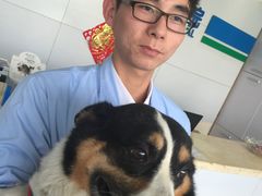 -宠颐生东兴动物医院(大悦城店)