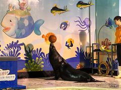 -太平洋海底世界