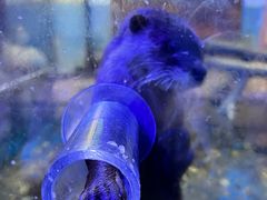 -海合安天津极地海洋公园