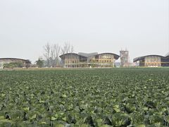 -中国天府农业博览园