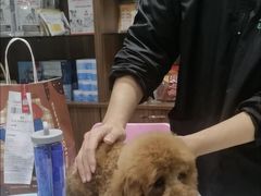 -心仪动物医院·牙专科·肿瘤·心脏科(西客站院)