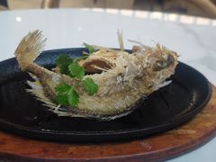 潮煎黄花鱼-潮界(虹桥新天地店)