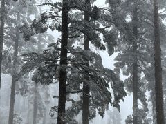 -瓦屋山景区