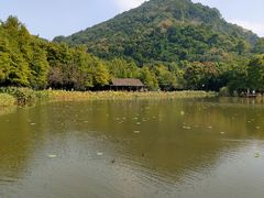 -八卦田遗址公园
