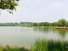 -东郊湿地公园