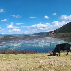 -纳帕海依拉草原