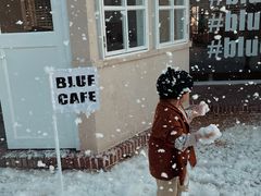 -Blue Concept Cafe&Farm·關於藍