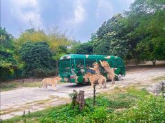 -深圳野生动物园