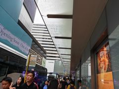 -DFS迪斐世(香港广东道店)