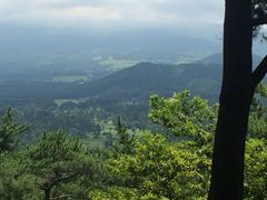 -汉拿树木园