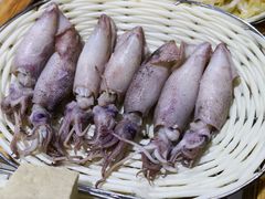 海兔子-元盛居(生态大街店)