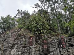 -大雁山风景区