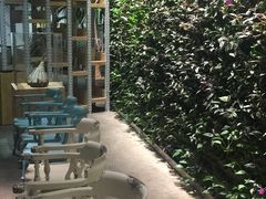 -三亚湾红树林度假世界(木棉酒店)