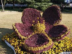 -上海市龙华烈士陵园