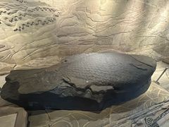 -白鹤梁水下博物馆