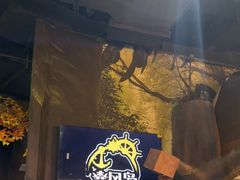 -暴风岛沉浸式体验馆(百联世纪店)