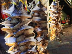 -南沙十九涌渔人码头-南门