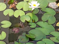 -徐州幼儿师范高等专科学校北校区(洞山路校区)